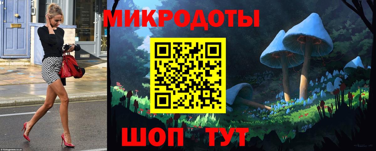 Выборг  Псилоцибиновые грибы Psilocybine cubensis  Вход с VPN 