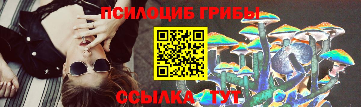 Псилоцибиновые грибы GOLDEN TEACHER Выборг